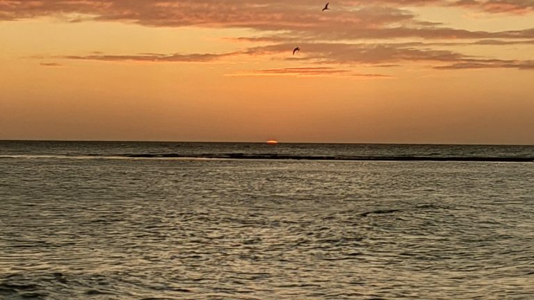 Stunning Aruba sunset over Caribbean Sea with golden sky and birds during group trip vacation